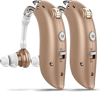 D10BTE-BG hearing amplifier