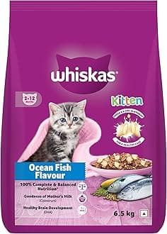 Junior Mother Cat & Kitten (2-12 Months) Dry Cat Food, Ocean Fish Flavour, 6.5 kg, Contains 41 Essential Nutrients, Complete & Balanced Nutrition for Mother Cats & Kittens